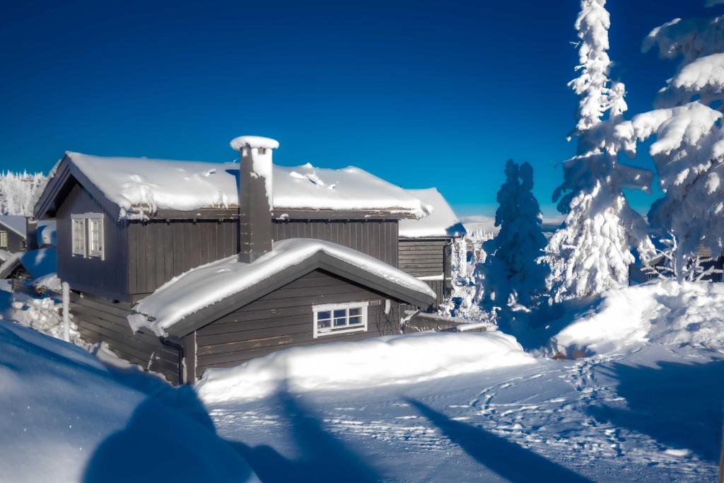 a cabin in the snow with snow covered trees at Trysilfjellet Nord 1111B in Trysil