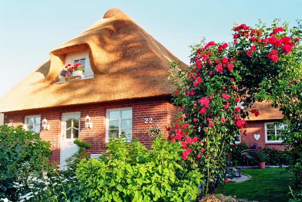 ein reetgedecktes Haus mit einem reetgedeckten Dach und roten Blumen in der Unterkunft Warftperle in Dagebüll