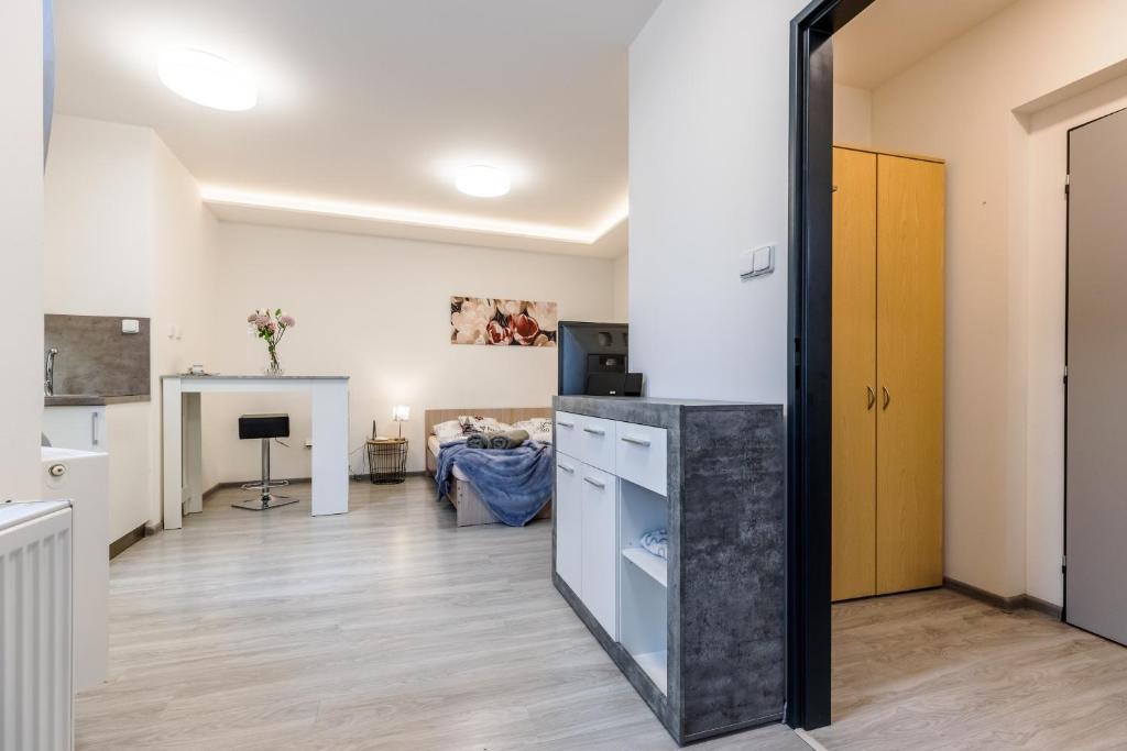 Design apartments Brno-center - 