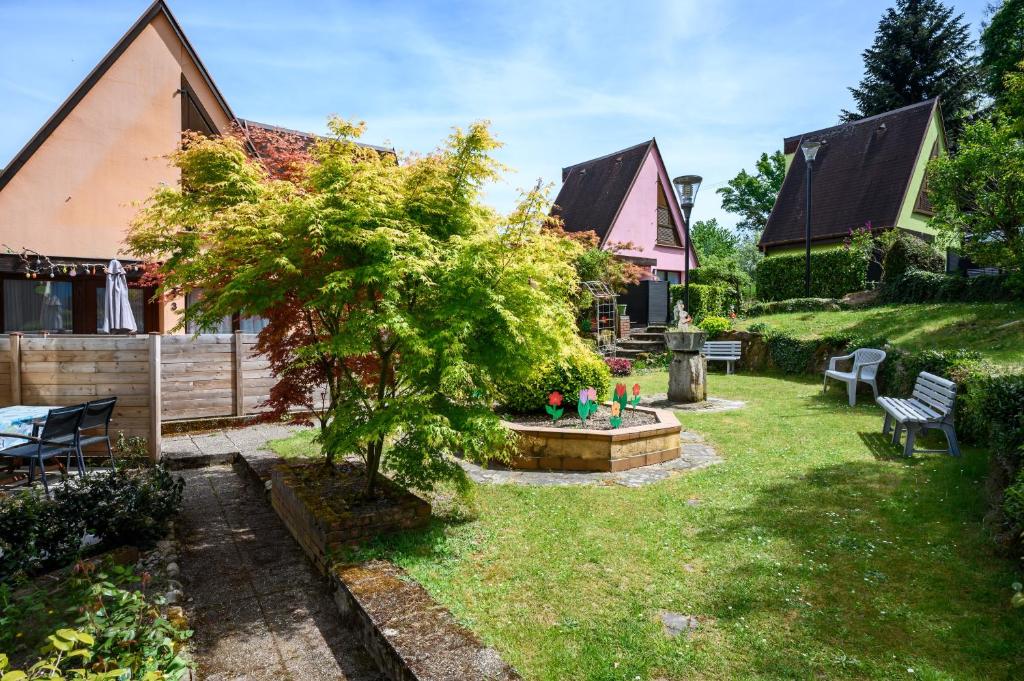 Gîte Les Sapins Bleus - Kaysersberg – photo 1