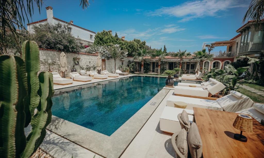 a swimming pool with white lounge chairs and cactus at Alaçatı Lotus Bahçe in Alaçatı