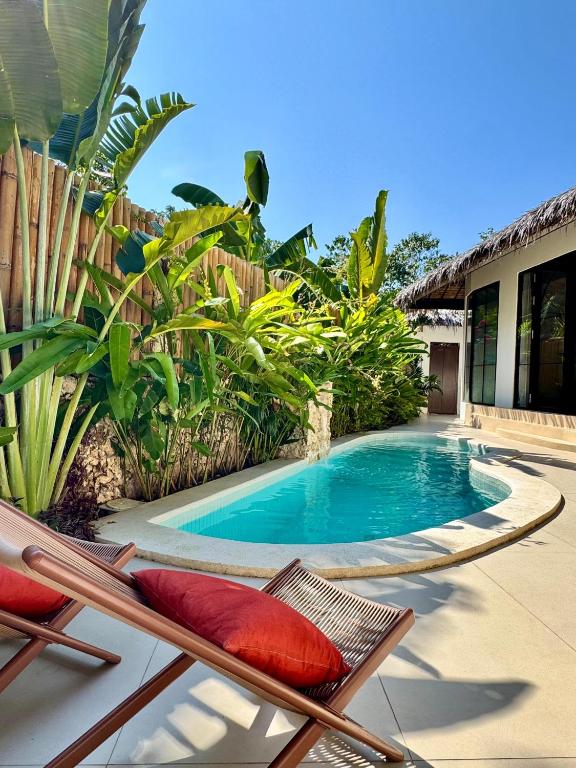 a swimming pool with two chairs next to a house at Alma Villas in Paliton