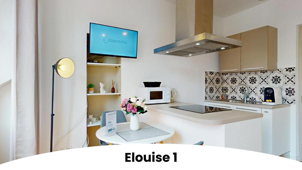 Les gîtes d'Elouise – photo 14