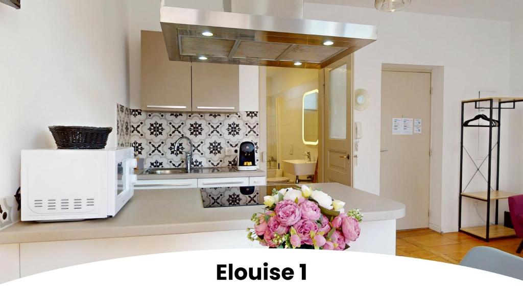 Les gîtes d'Elouise – photo 3