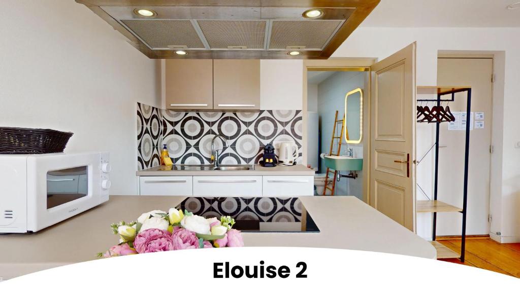 Les gîtes d'Elouise – photo 31