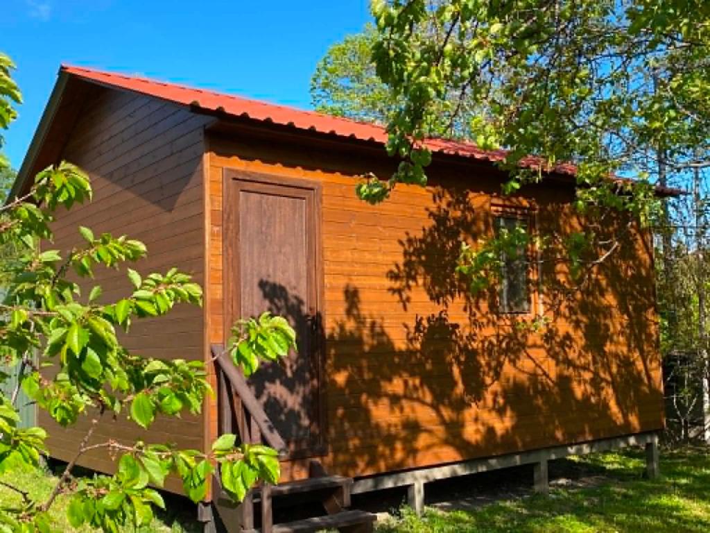 a tiny house with a door in the yard at Nika's house in Mtskheta