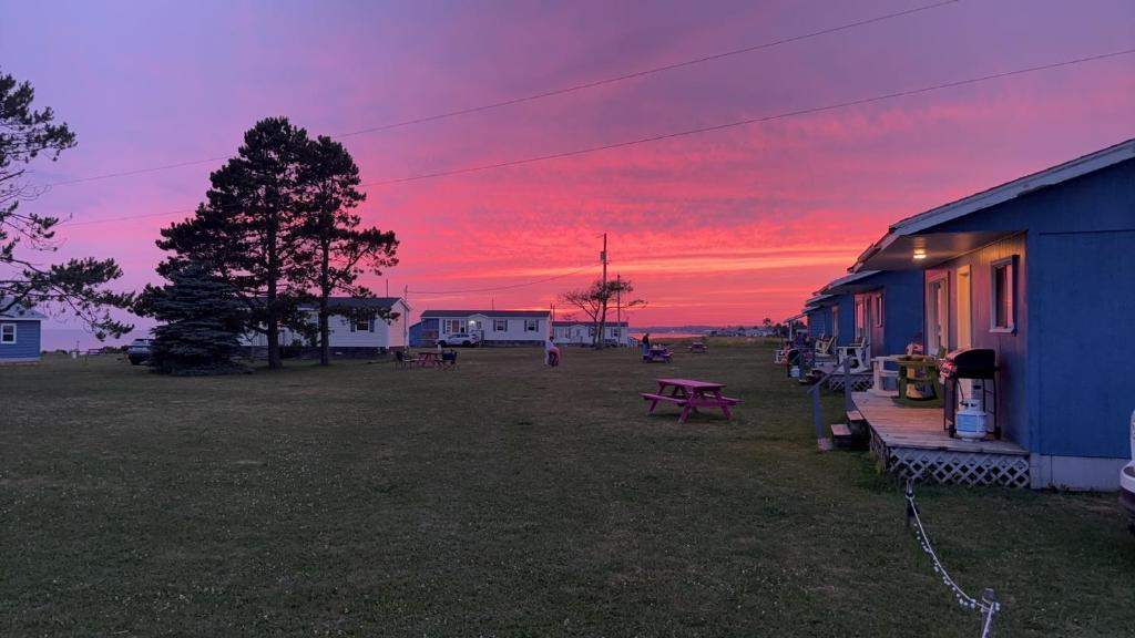 a sunset over a field with a house and a picnic table at Blue Spruces Cottages in Hampton 