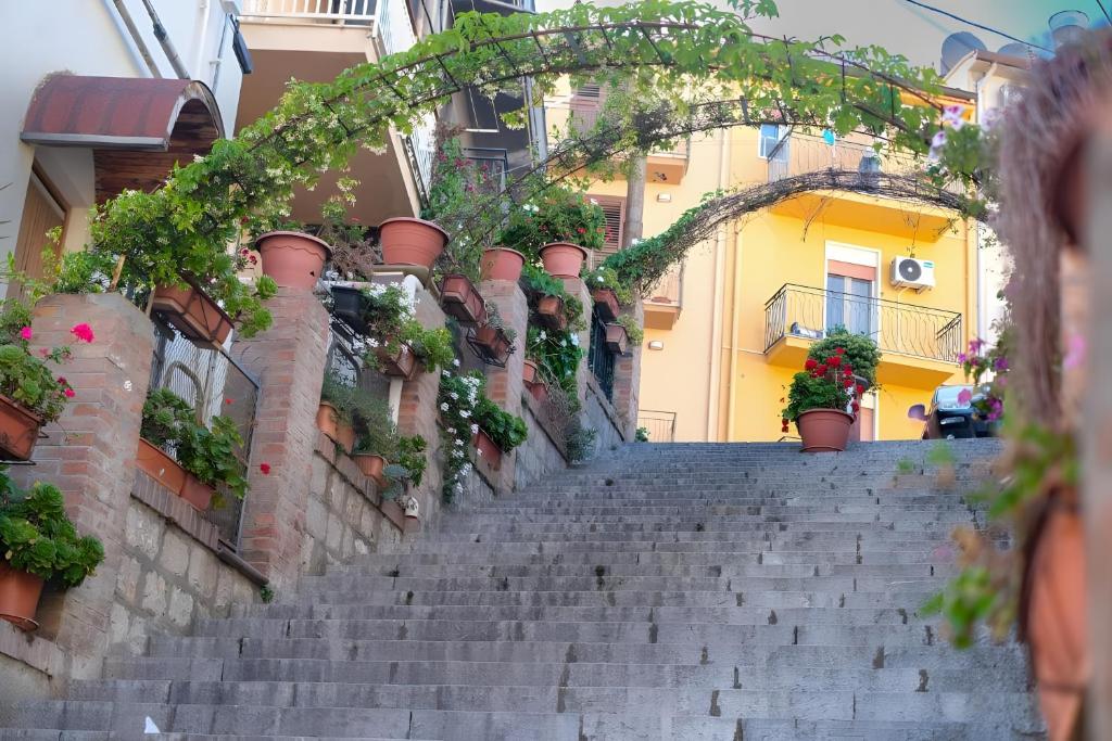 a stairway with potted plants and a building at Il Cortile Holiday House in Caccamo