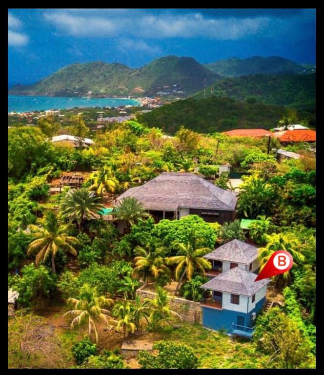 a house on a hill with palm trees and a stop sign at Les Nids Tropicaux in Marigot