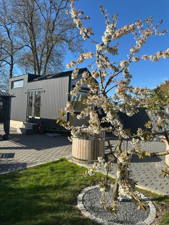 ein blühender Baum vor einem Gebäude in der Unterkunft my-tinyhouse in Neuendorf-Sachsenbande