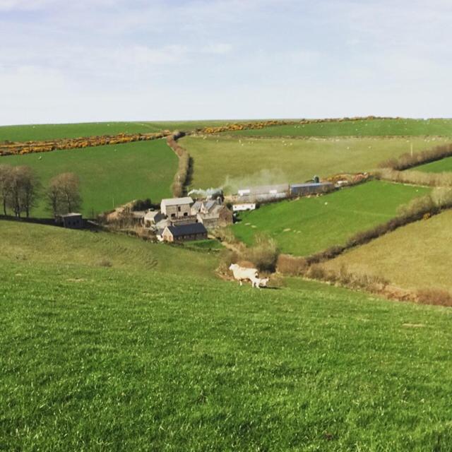 an aerial view of a farm in a green field at Coombe Farm in Lynton