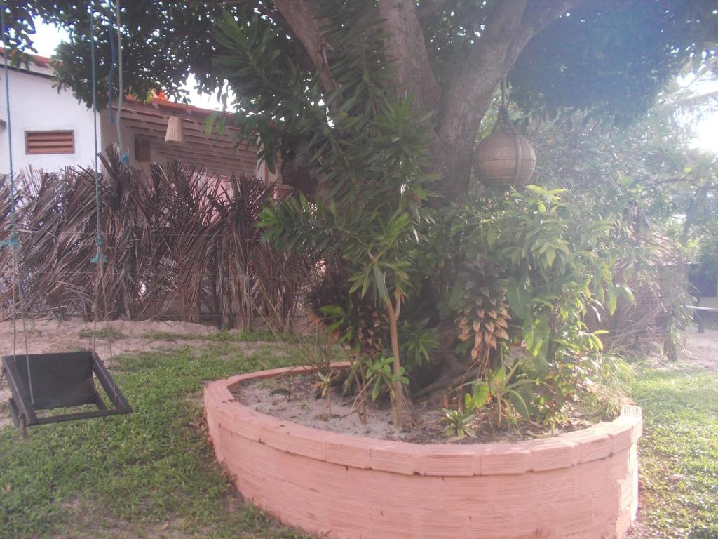 Um jardim no exterior de Pousada Mirage Atins