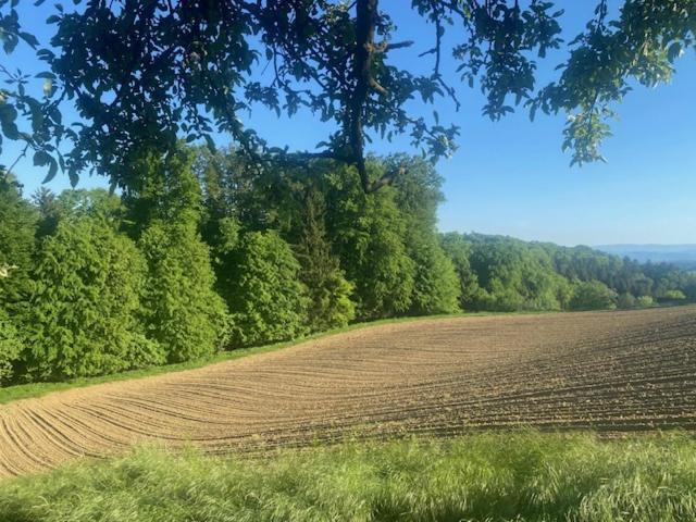 a plowed field with trees and a field of crops at Ferienwohnung Wiener in Marchtring