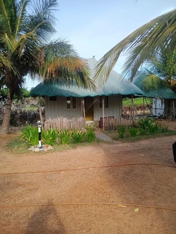 a house with a palm tree in front of it at Cabana Coral Reef in Mandapam