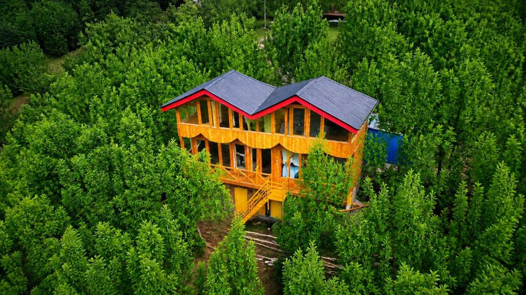 an overhead view of a house in the middle of a forest at Top Mountain Mist Near Jibhi in Banjār