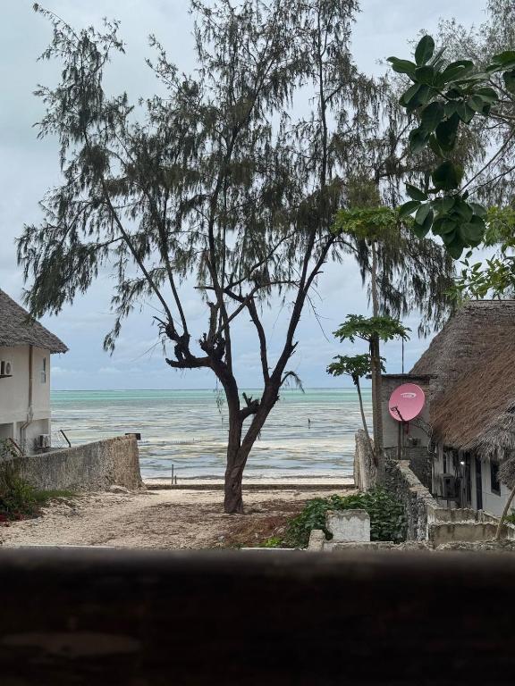 a tree and houses on a beach with the ocean at Beach House in Jambiani