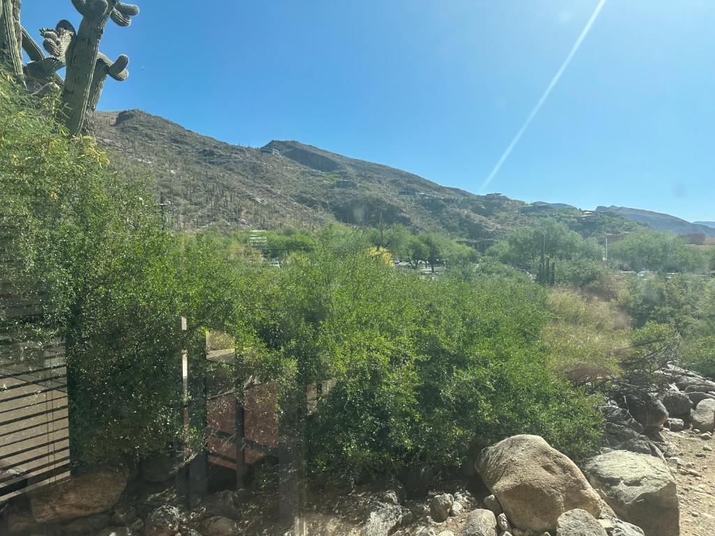 a view of a mountain with trees and rocks at Our Mountain View in Tucson