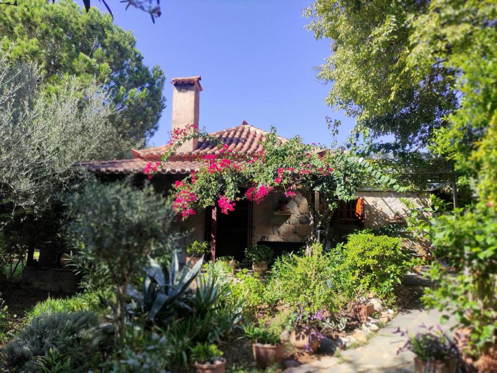 an old house with flowers in front of it at Spiti NICOLA in Stoupa
