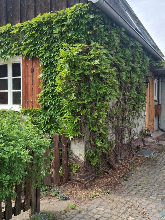 a building covered in ivy next to a house at Ferienhaus Witta in Radebeul