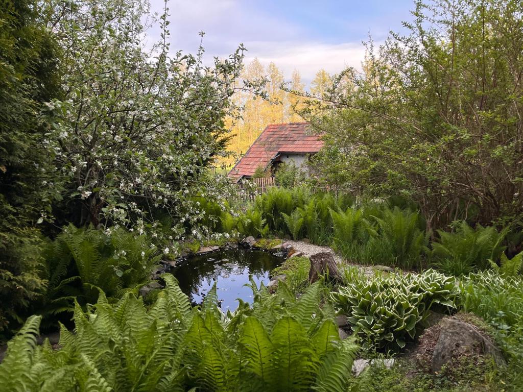 a pond in the middle of a garden with plants at Chatka nad stawem in Radłów