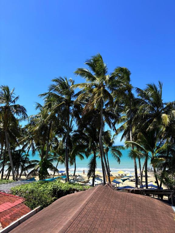 a walkway leading to a beach with palm trees at Casa MIA in Cabarete