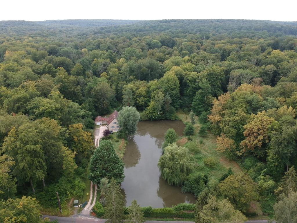 an aerial view of a house in the middle of a river at Gîte Nid dans la Forêt in Saint-Jean-aux-Bois