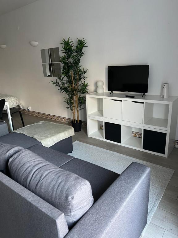 My Cozy Oura Studio