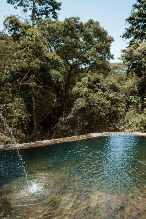 a pool of water with trees in the background at Ahora Wellness Hostel in Guachaca
