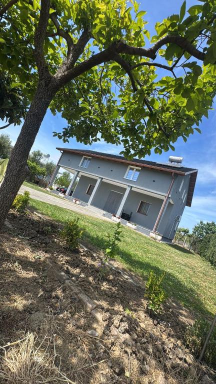 a building with a tree in front of it at Villa Gjeci Tale in Tale
