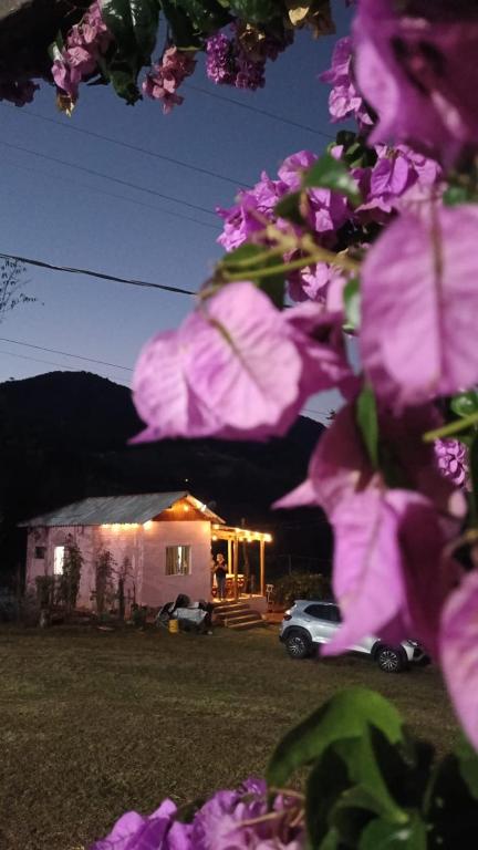 a house with a car in a yard with purple flowers at Recanto Miramonti Refúgio com Vista in Cristina