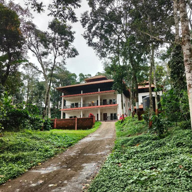 Navut Homestay - Serenity Among Coffee Plantations - Hizvo