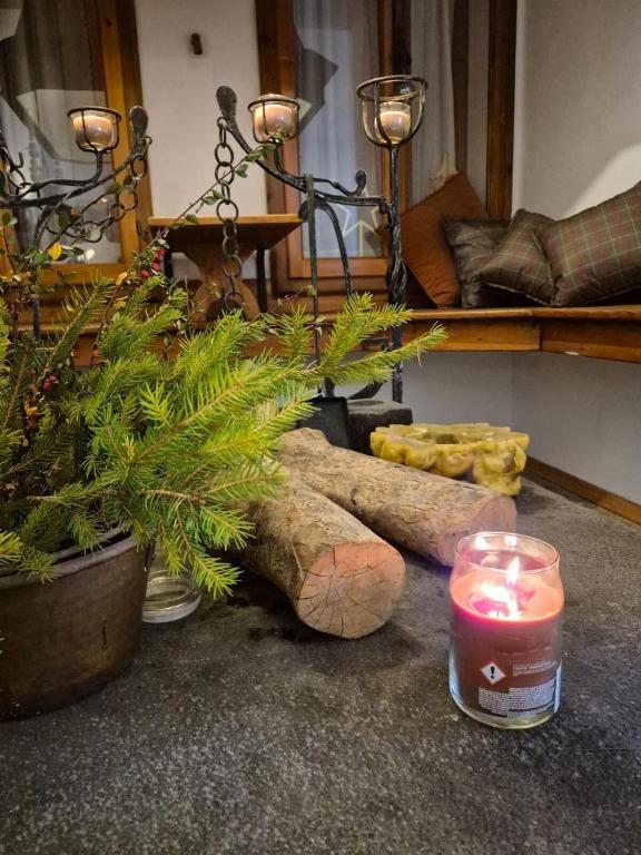 a table with two candles and a potted plant at Cèsa Cusenza in Rocca Pietore