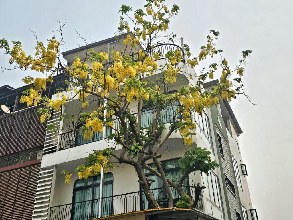 a tree with yellow flowers in front of a building at Serene Residence in Vientiane