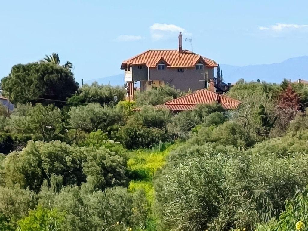 ein Haus auf einem Hügel mit Bäumen in der Unterkunft Lighthouse in Flogita