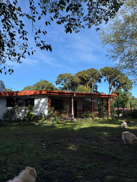 a house with sheep standing in front of it at Cumbre Serena by Montea in Empalme