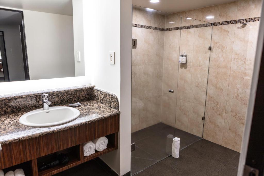 Holiday Inn Mexico City - Trade Center by IHG - Standard King Room