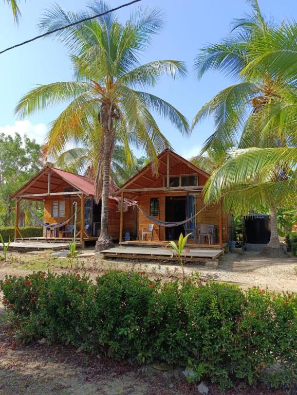a house with palm trees in front of it at Palmar Beach Cabañas - Bahía Rada in Moñitos