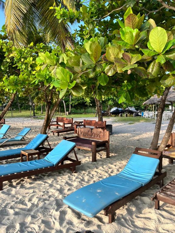 a group of lounge chairs and trees on a beach at Wanderlust at Golden Sun in Diani Beach