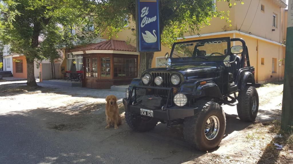 un perro está de pie junto a un jeep en Hotel El Cisne en Villa Gesell