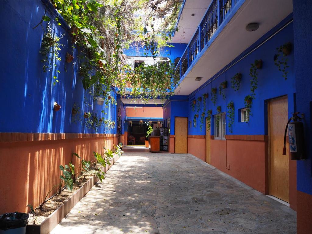 a hallway of a building with blue walls and plants at Hotel Don Candido in Tuxtla Gutiérrez