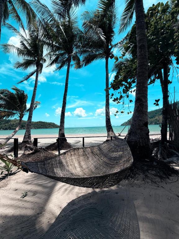 a hammock on a beach with palm trees at Beachfront Bungalows Bucana, El Nido in El Nido