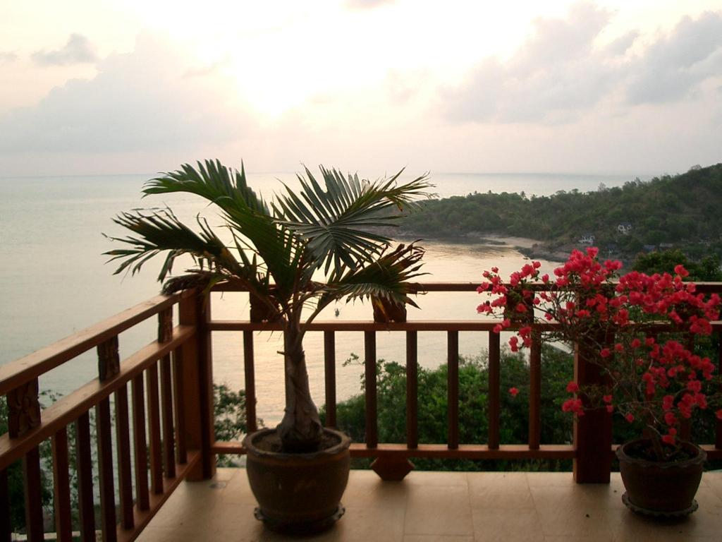een palmboom op een balkon met uitzicht op de oceaan bij Baan Lom Talay in Choeng Mon Beach