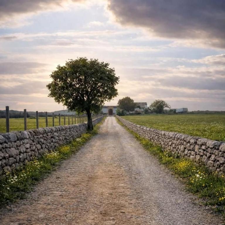 Agriturismo Valle di Chiaramonte - Housity