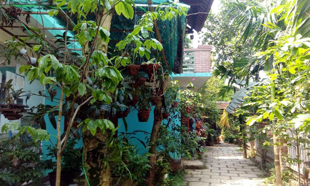Zahrada ubytování Tam Tinh Vien Homestay