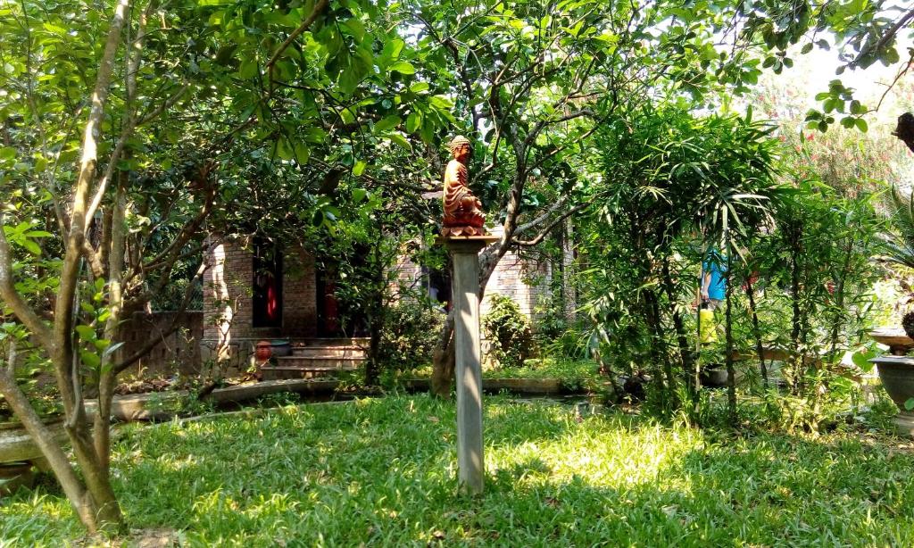 Zahrada ubytování Tam Tinh Vien Homestay