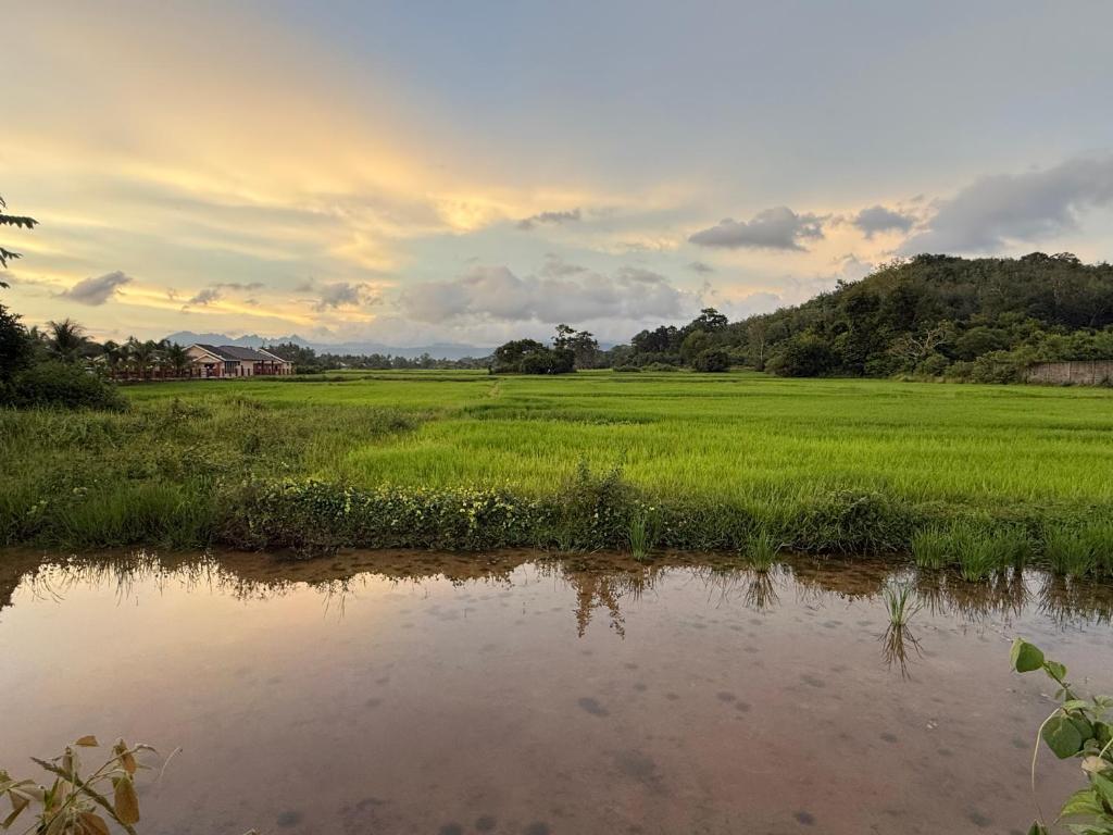 a field of green grass next to a river at Lot 766, Langkawi in Pulau Langkawi