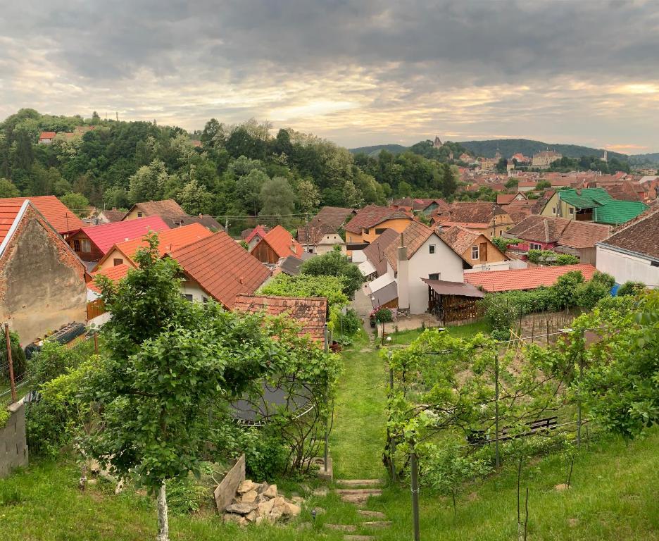 a view of a village with houses and trees at Casa Santa in Sighişoara