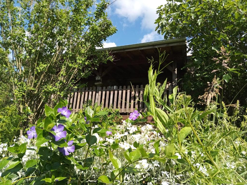 a garden with purple flowers in front of a house at Les Gîtes de Roucayrols in Pampelonne
