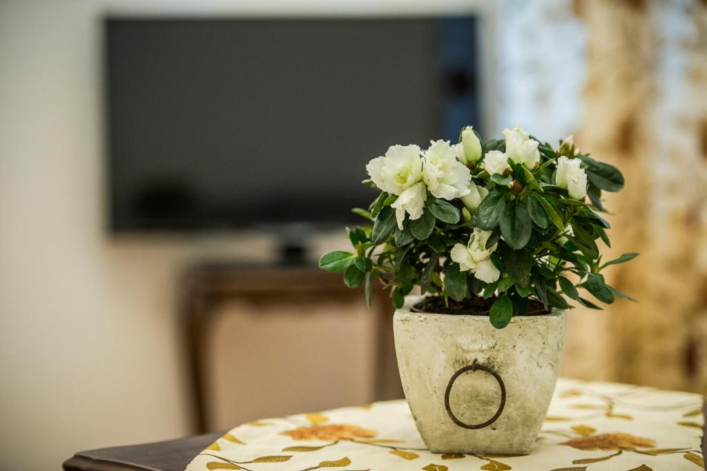 a vase filled with white flowers sitting on a table at Seaside house in Liepāja