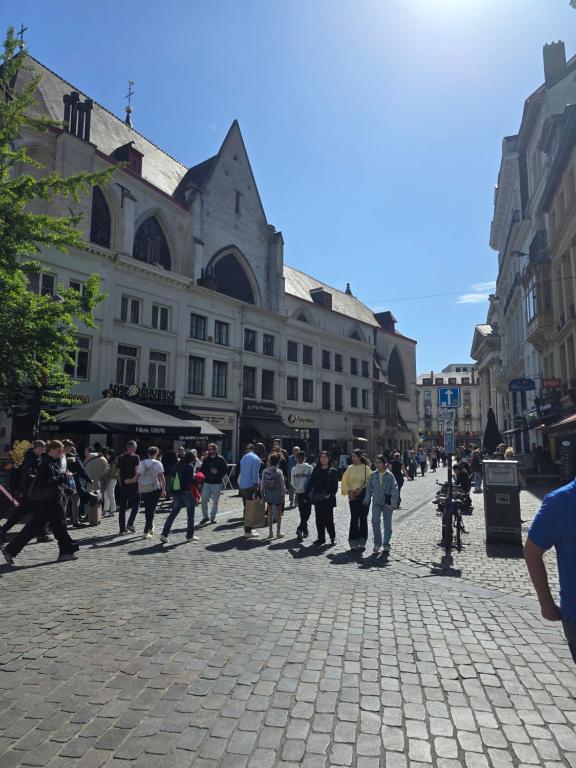 a group of people walking down a street at Brussels square in Brussels